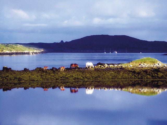 Irlande - Cork - Cottage Glengarriff avec traversée maritime incluse