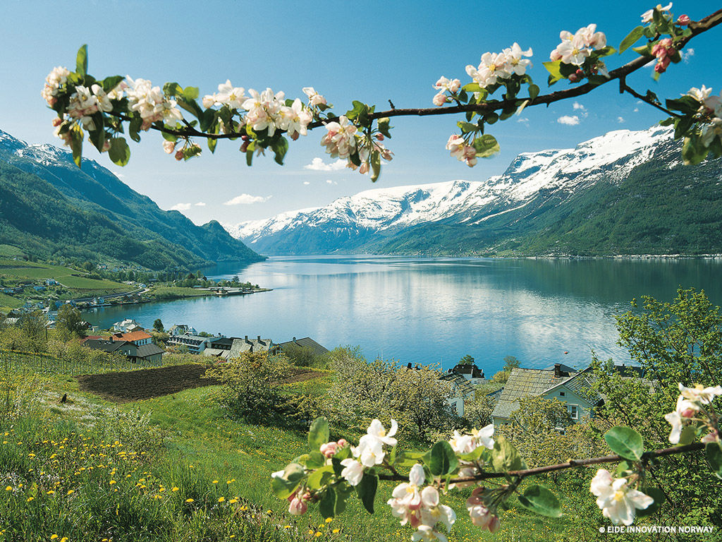 Norvège des Fjords 3 *